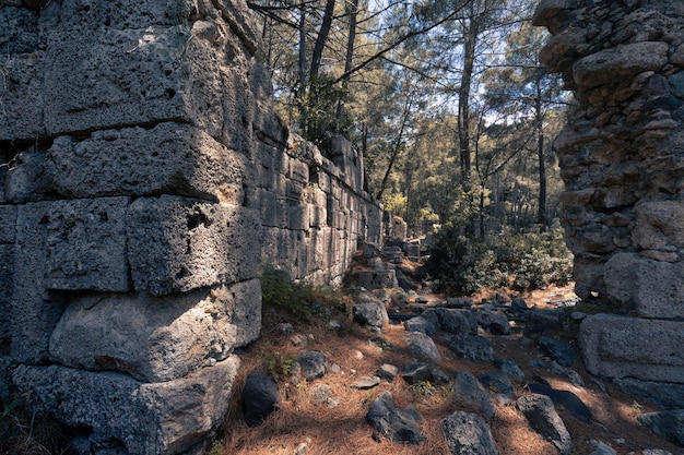 Antique ruins with remains of buildings surrounded by forest in ancient city of Phaselis Turkiye