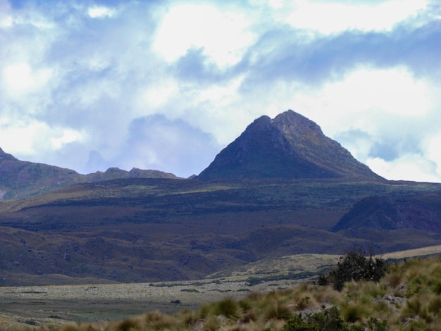 Antisana Ecological Reserve Antisana Volcano Ecuador