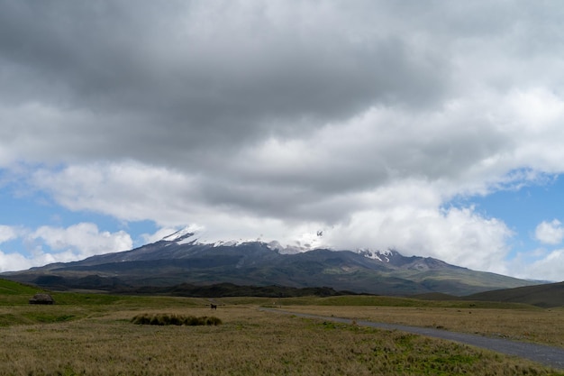 Antisana Ecological Reserve Antisana Volcano Ecuador