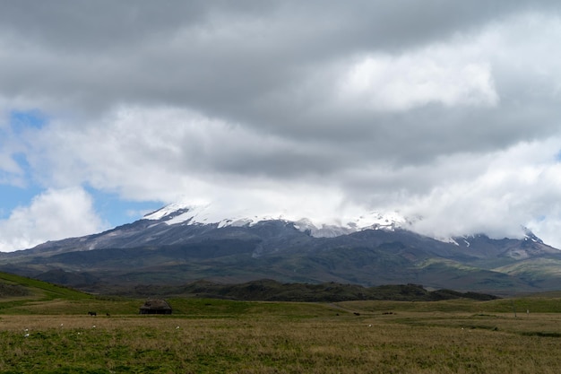 Antisana Ecological Reserve Antisana Volcano Ecuador