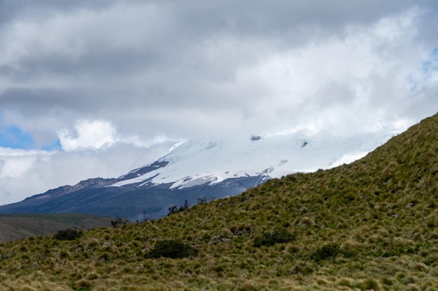 Antisana Ecological Reserve Antisana Volcano Ecuador