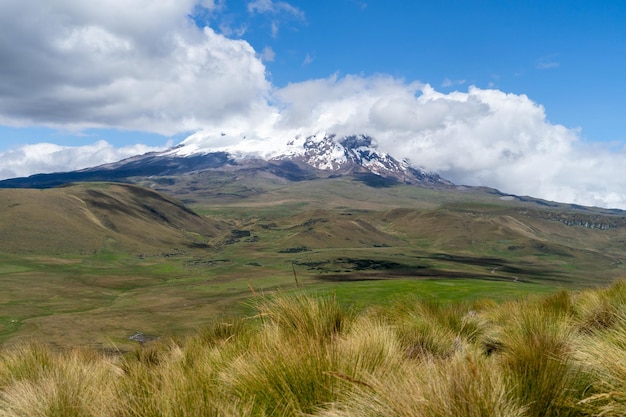 Antisana Ecological Reserve Antisana Volcano Ecuador