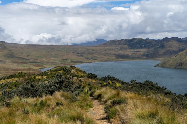 Antisana Ecological Reserve Antisana Volcano Ecuador