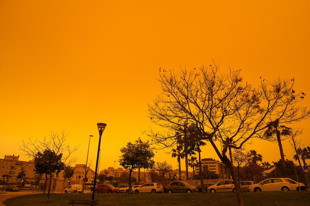 Apocalyptic vision of the muddy sky in Malaga due to the arrival of the Saharan fog with no filter