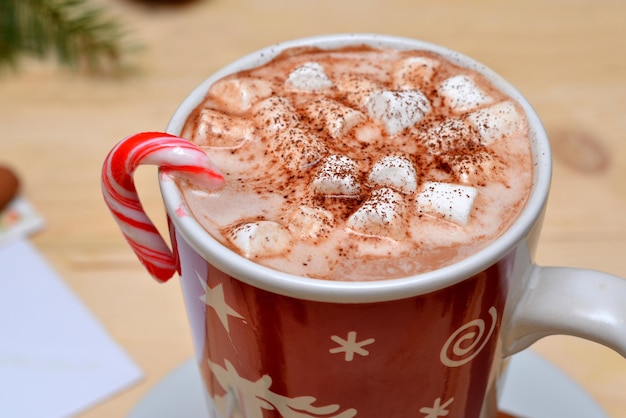 Appetizing drink sweet cocoa drink with marshmallows closeup