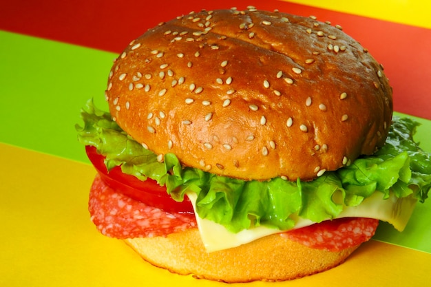 Appetizing hamburger. Food minimalism.