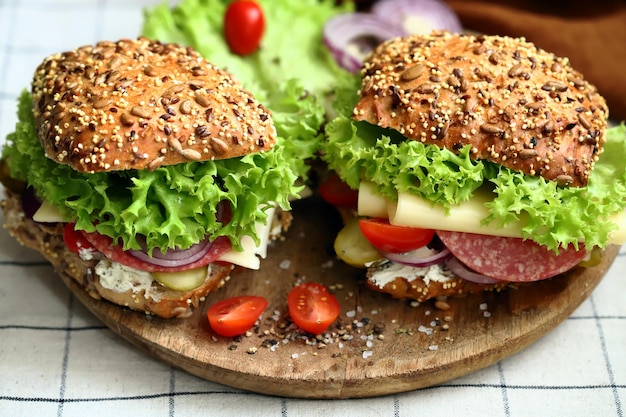 Appetizing sandwich with salami cheese and vegetables