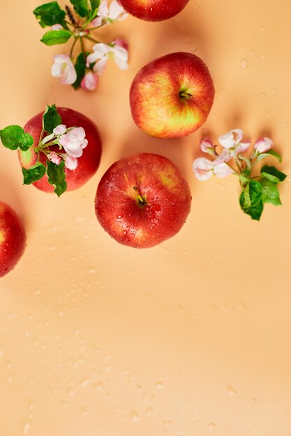 Apple flowers and ripe red apples flat lay on a pastel orange background