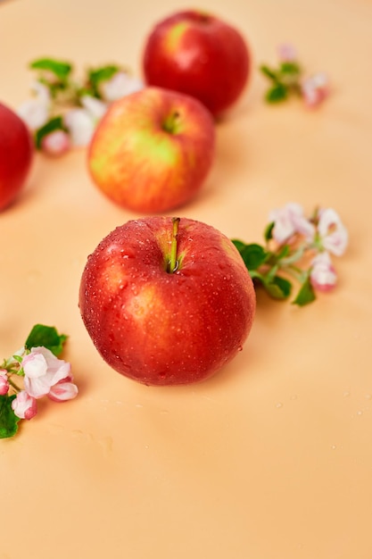 Apple flowers and ripe red apples flat lay on a pastel orange background