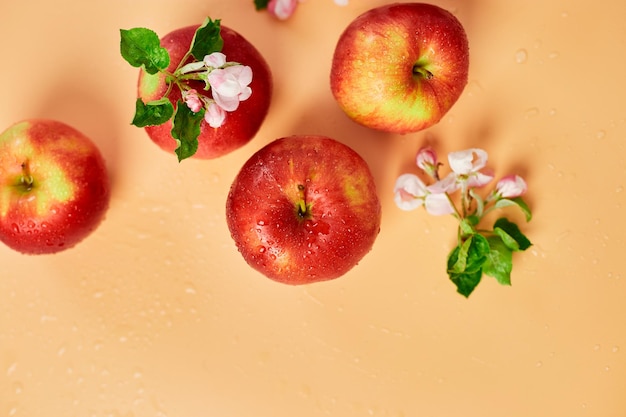 Apple flowers and ripe red apples flat lay on a pastel orange background