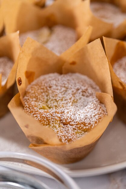 Apple sharlotka muffin