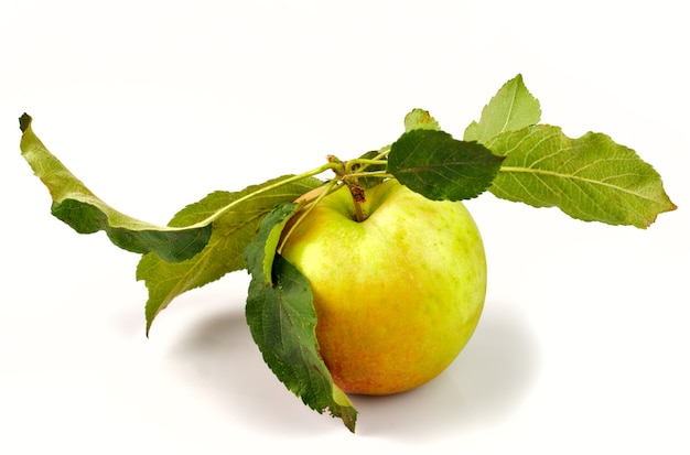 Apple with green leafs from tree isolated on white background