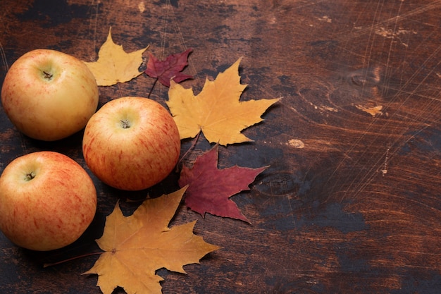 Apple and yellow red maple leaves leaves old grunge wooden background Copy space Autumn concept Season school theme