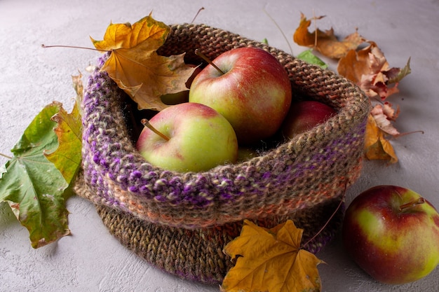 Apples of the autumn harvest lie in a knitted hat