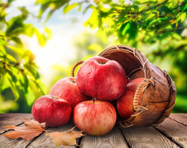 Apples in basket