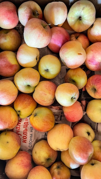 Apples in a box for the winter