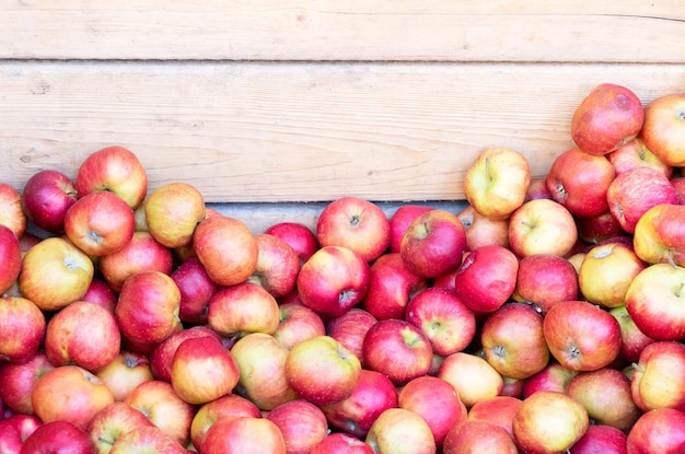 Apples on market