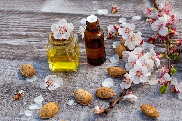 Apricot flower, almond oil on the wooden background