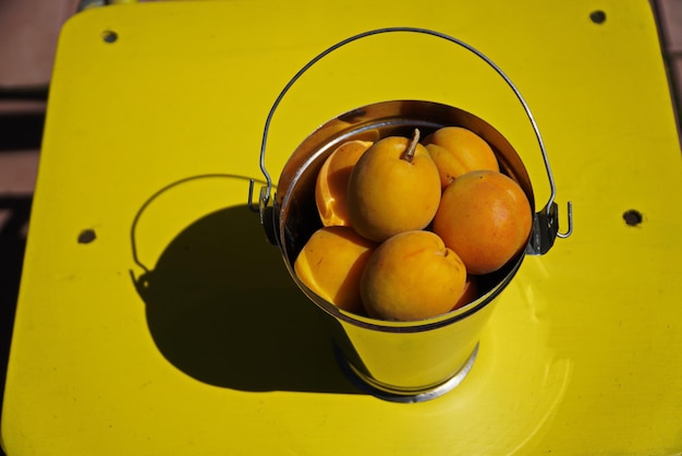 Apricots in a decorative bucket on a yellow chair