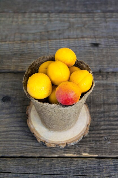 Apricots in a pot