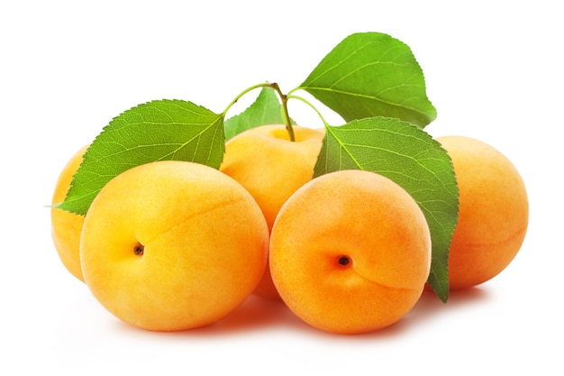 Apricots with leaves on a white background