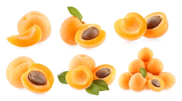 Apricots