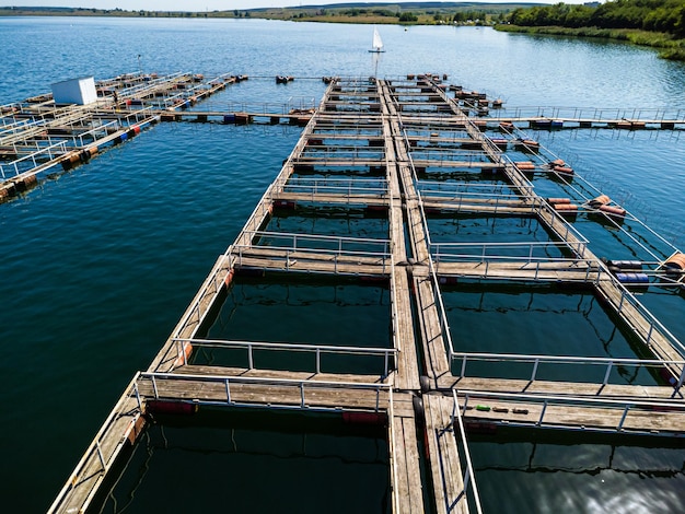 Aquaculture farm. Cultivation of fish, molluscs, shrimps