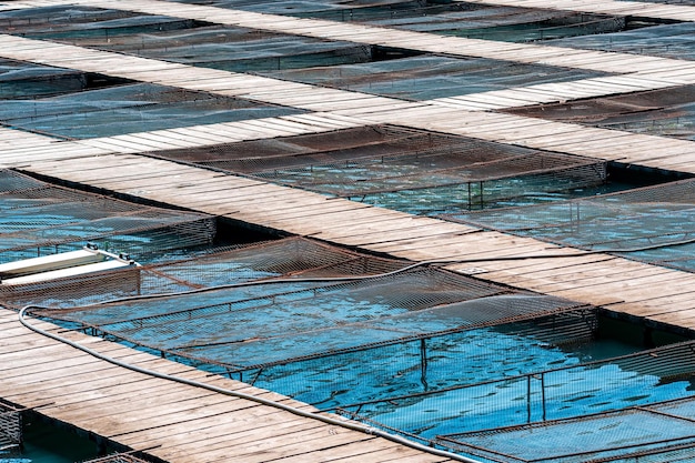 Aquaculture installations with fish cages on a fish farm