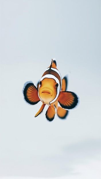 Photo aquatic beautiful clownfish isolated on white background