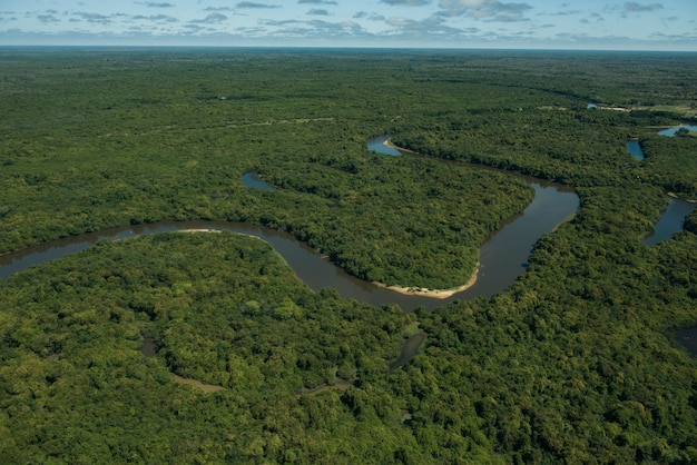 Aquidauana, Mato Grosso do Sul, Brazil: Aerial view of Rio Negro (Black River), in the Brazilian wetlands, know as Pantanal