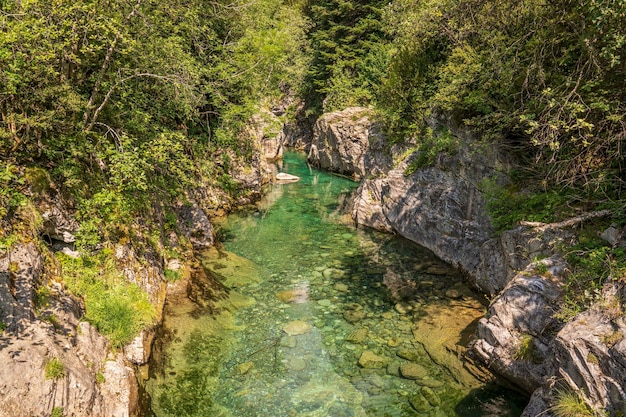 Ara river in Bujaruelo Valley Ordesa y Monte Perdido national park