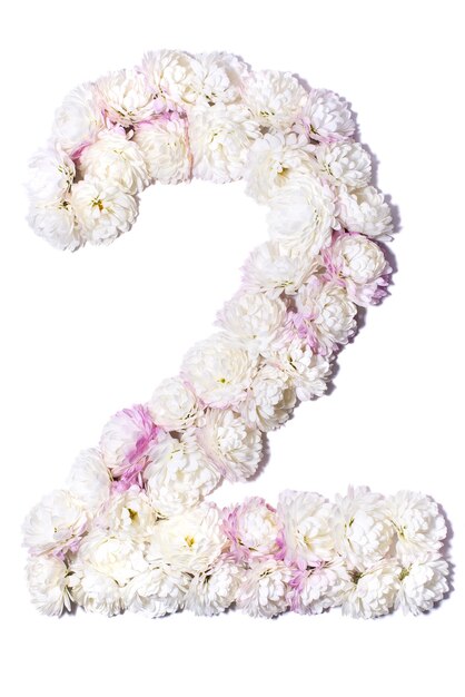 Arabic numerals from white chrysanthemums