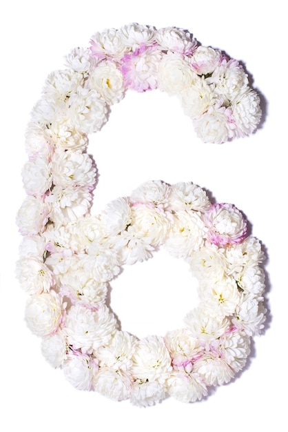 Arabic numerals from white chrysanthemums