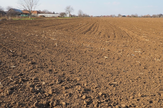 Arable field ready for spring agricultural work Furrows from the passage of a tractor or combine Cornmeal on the ground Fertile soil for planting Fertilizers are the key to a good harvest