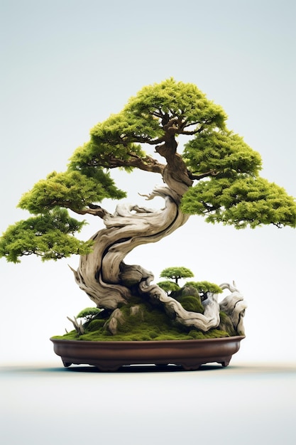 Arafed bonsai tree in a pot on a white background generative ai