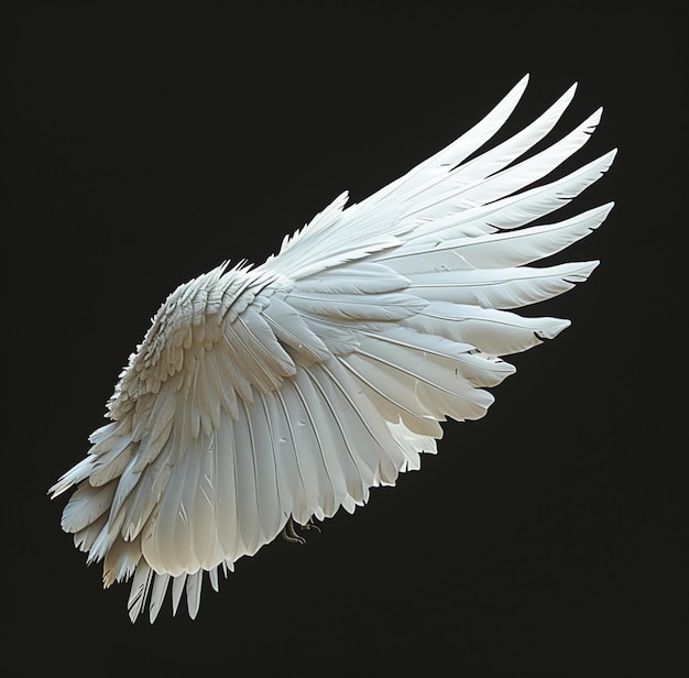 Photo arafed white bird flying in the air with its wings spread