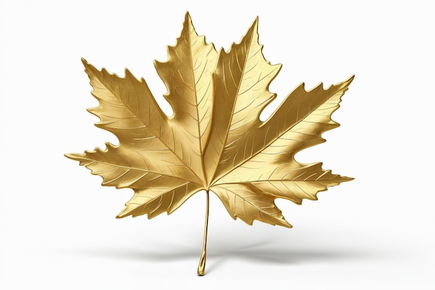 araffe leaf of a golden maple on a white background