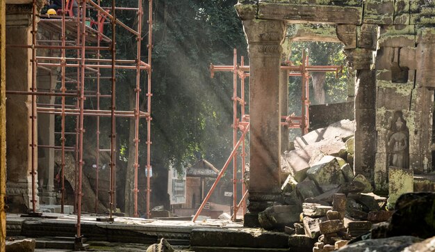 Archaeological site and renovation in Ta Prohm Temple Angkor Wat Cambodia