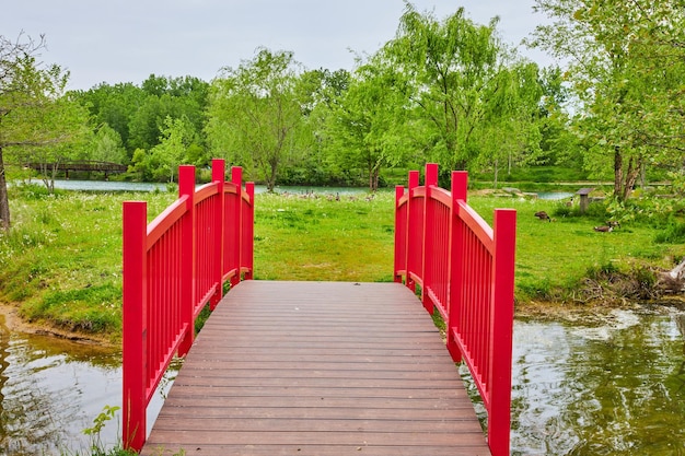 Arching red walking bridge with tiny stream and small island with grazing flock of Canadian geese