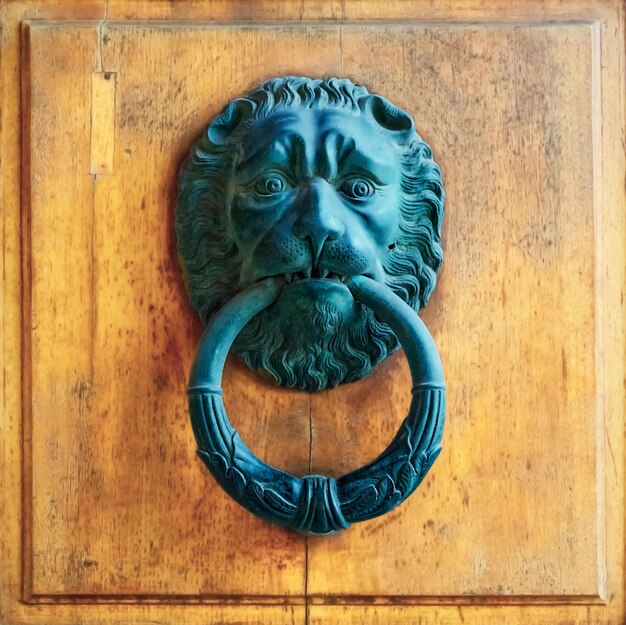 Architectural details -ancient door knoker with lion