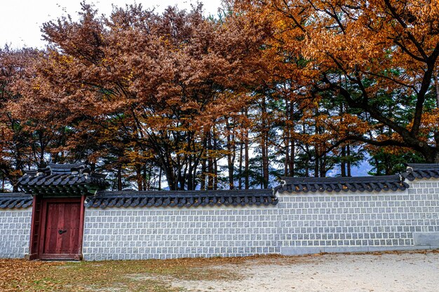 Photo architecture buildings of traditional gyeongbokgung palace at seoul south korea