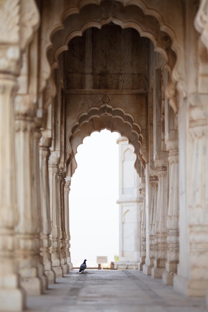 Architecture in oriental style houses sandy ornament buildings indian travel photo