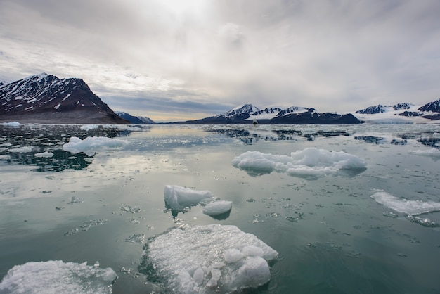 Arctic landscape