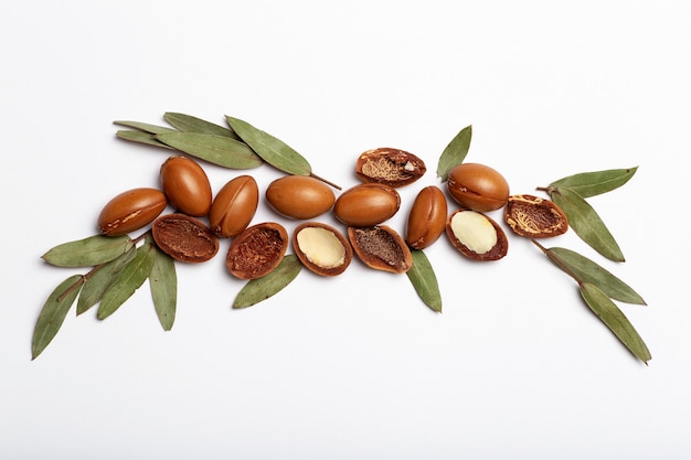 Argan seeds isolated on a white background argan oil nuts with plant cosmetics and natural oils back...