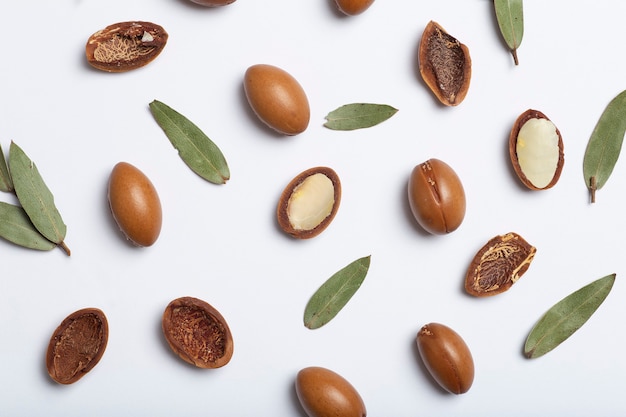 Argan seeds isolated on a white background argan oil nuts with plant cosmetics and natural oils