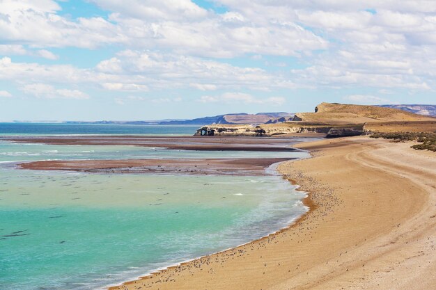 Argentina coast