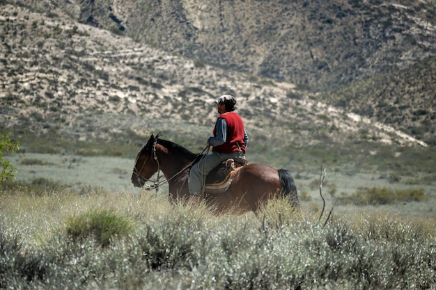 Argentine gaucho on horseback in patagonia