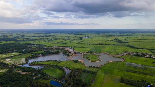 Ariel view  of  rice fields in thailand