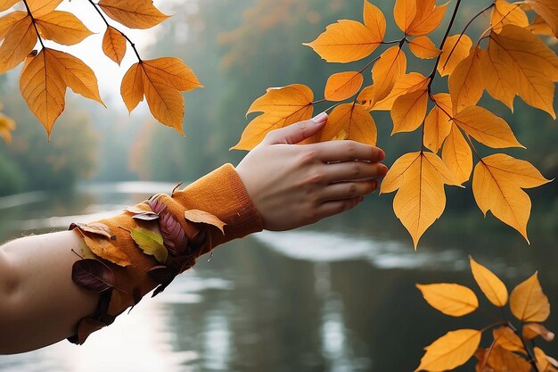 Photo arm with falling leaves