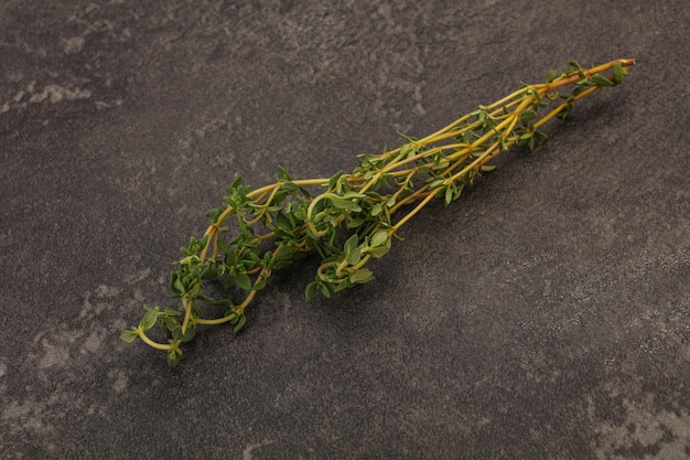 Aroma Fresh green thyme branch